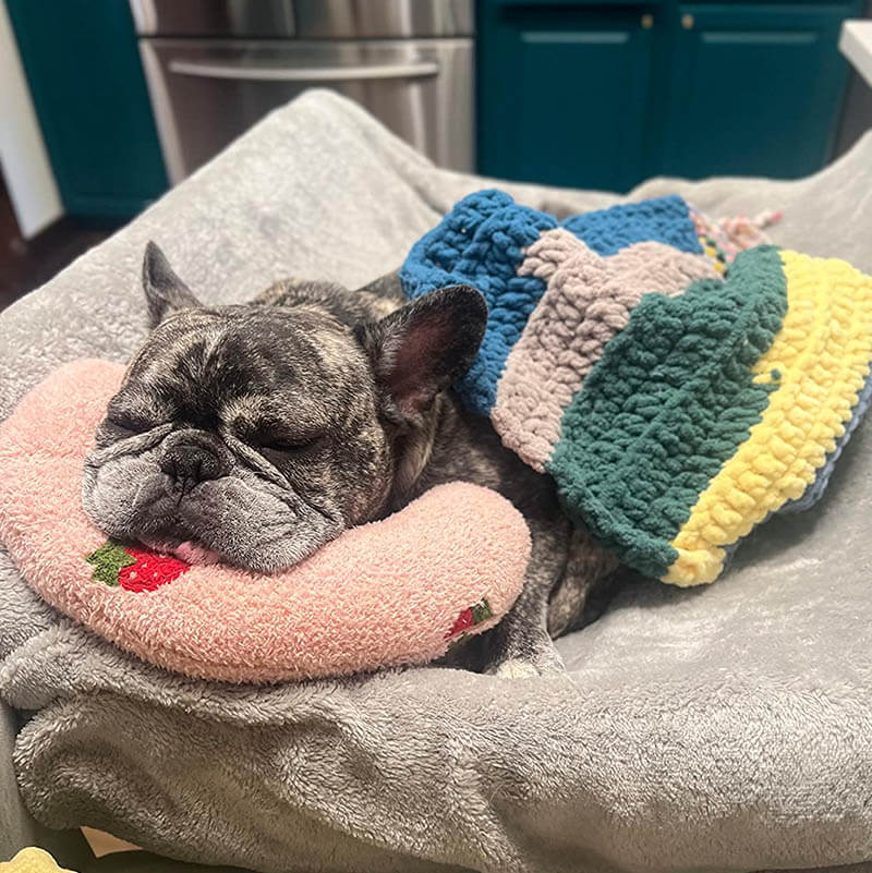 Glosrity Pet Pillows